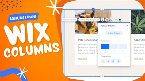 add columns wix - Wix add columns to section.